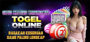 Megawin Reward